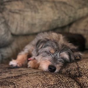 Meet your Posher, Gloria